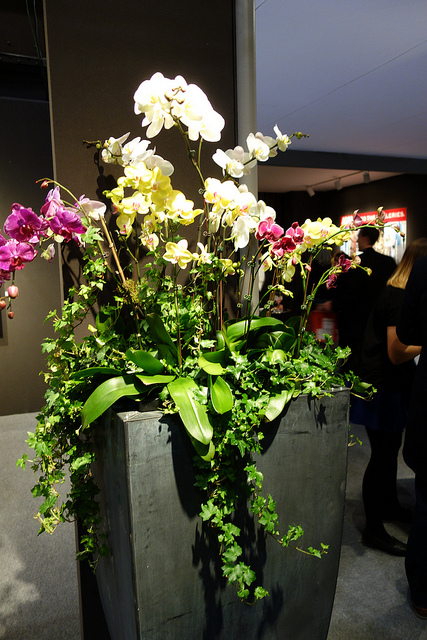 The ADAA sets the tone with its own flowers