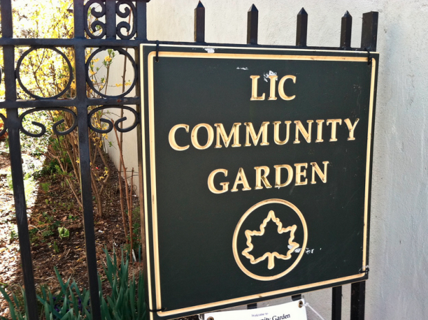 The LIC Community Garden, site of Flux Factory's Nightlight.