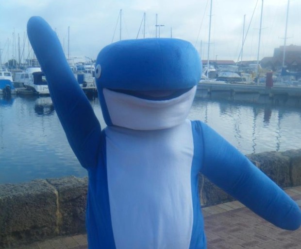 You know, just a guy in a whale suit.