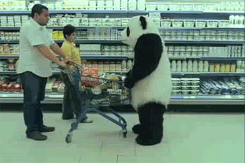 cutest-panda-gifs-commercial