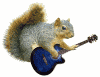 squirrel_blueguitar_mini