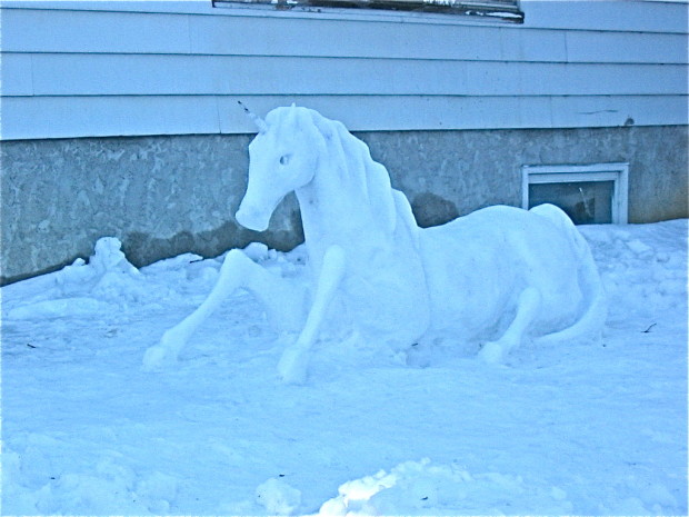 fucking cold horse