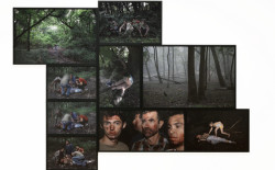 Post image for As Violent as Chimps: Alison Ruttan at the Chicago Cultural Center