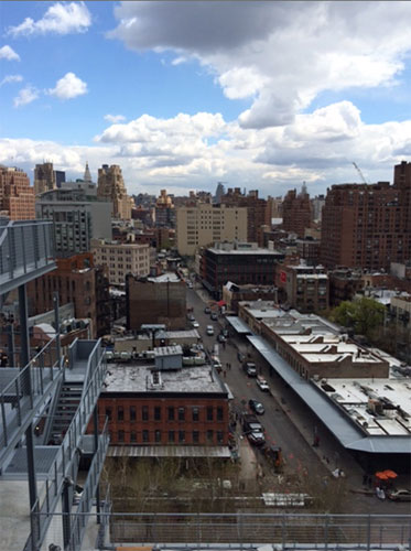 view from the whitney