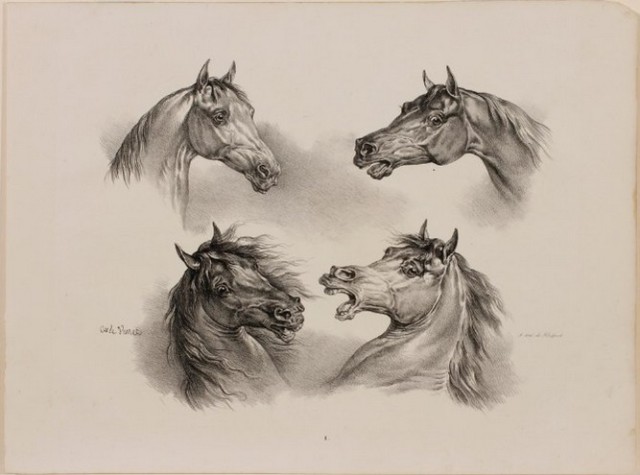 "Four Horse Portraits," with dialogue from left to right. Horse 1: How are you?  Horse 2: No hablo inglés. Horse 3:  I told you to eat my face. Horse 4: I cannot! Price: $800.00 + $45.00 shipping.