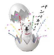 dog in egg