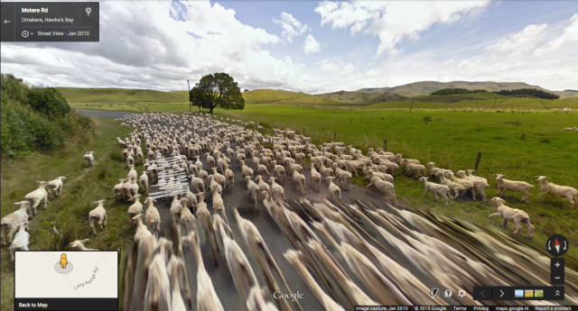 Google Sheep View. 