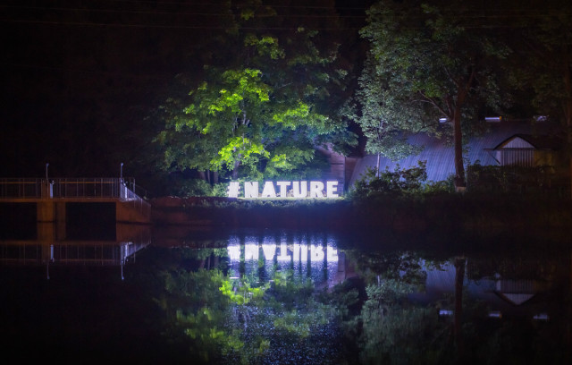 Sean Martindale's "#NATURE". Image credit: Dustin Rabin/Sunday Drive Art Projects