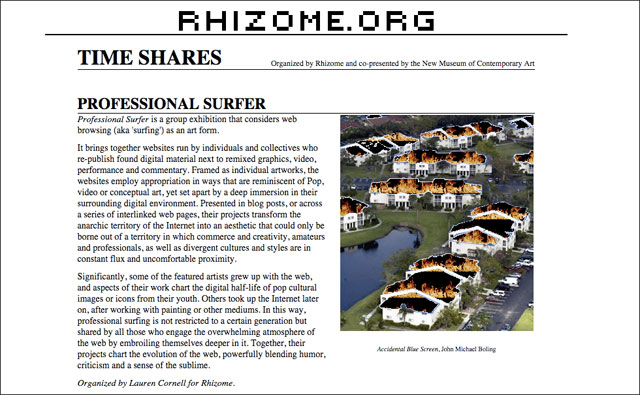 Rhizome's Professional Surfer landing page