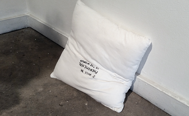 Lydia Moyer, “Trump Pillow,” 2015, installation view.