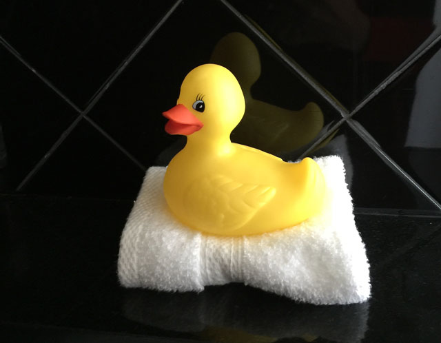 All the bathrooms come with this rubber ducky, which you can purchase at 21c. My only regret of the visit was not picking one of these up. 