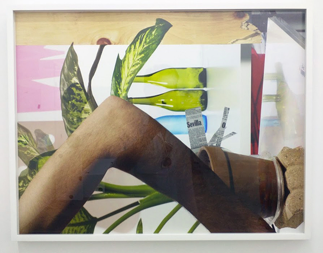 Michele Abeles, "Arm, Plant, Bottles, Wood," archival pigment print, 2011. 