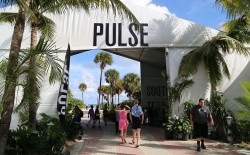 Post image for Great Strides Made Yet Still Needed at Pulse