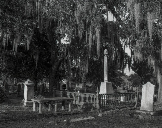 Rachel Stern, Magnolia Cemetery, Charleston, 2016, Silver Gelatin (Courtesy Rachel Stern and Black & White Gallery/Project Space)