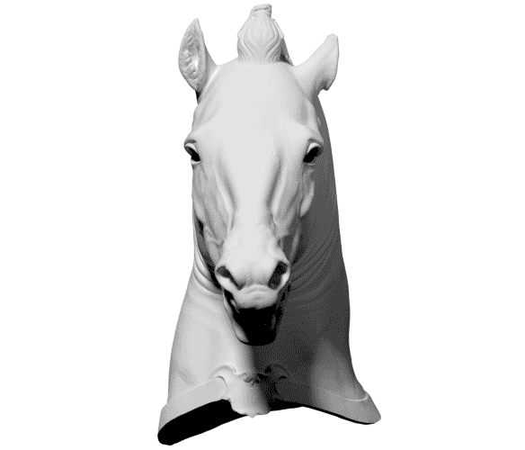 Horse1
