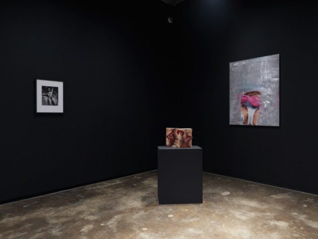 Installation view of Carolee Schneemann and Marilyn Minter at Coming To Power: 25 Years of Sexually X-Plicit Art By Women at Maccarone, 2016 (image courtesy Maccarone)
