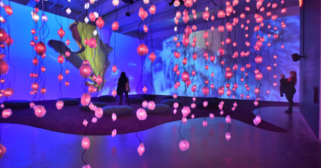 Pipillotti Rist Pixel Forest. Image New York Times