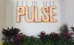 Post image for Seeking Highlights at Pulse