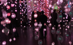 Post image for Pipilotti Rist at The New Museum: Feel-Good Feminism