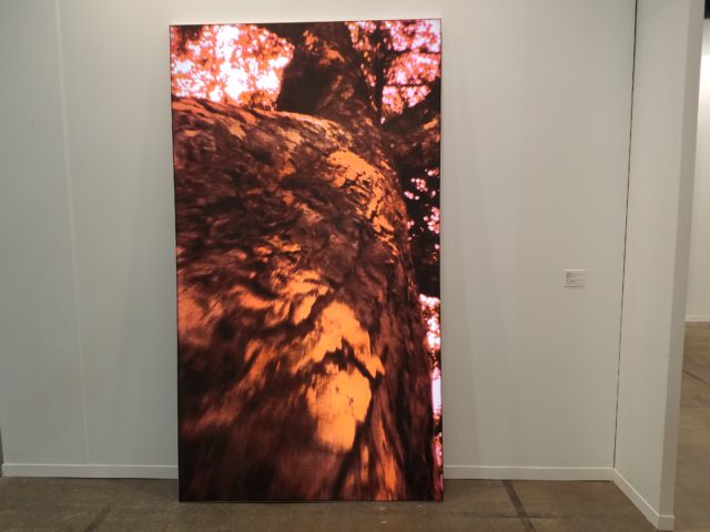 Pipilotti Rist, "Untitled 2," 2009 at Luhring Augustine.
