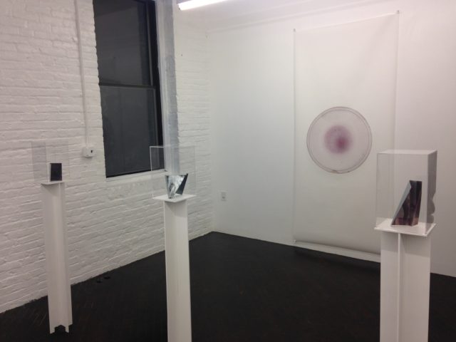 Installation view with 